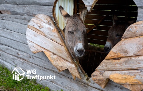 «Erhalt Spielplatz Hupp»