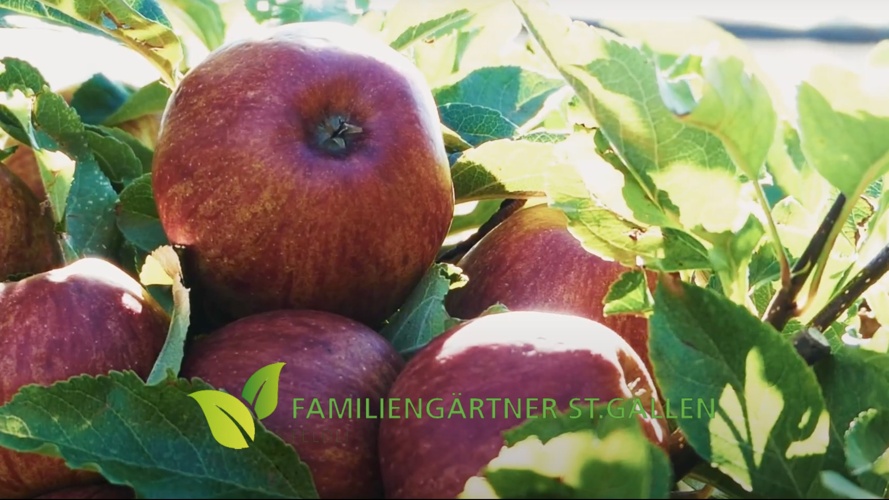 Instandstellung Vereinshaus + Wege