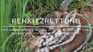 Verein Rehkitzrettung Schweiz