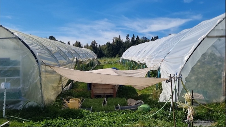 Neue Folien fürs Folientunnel