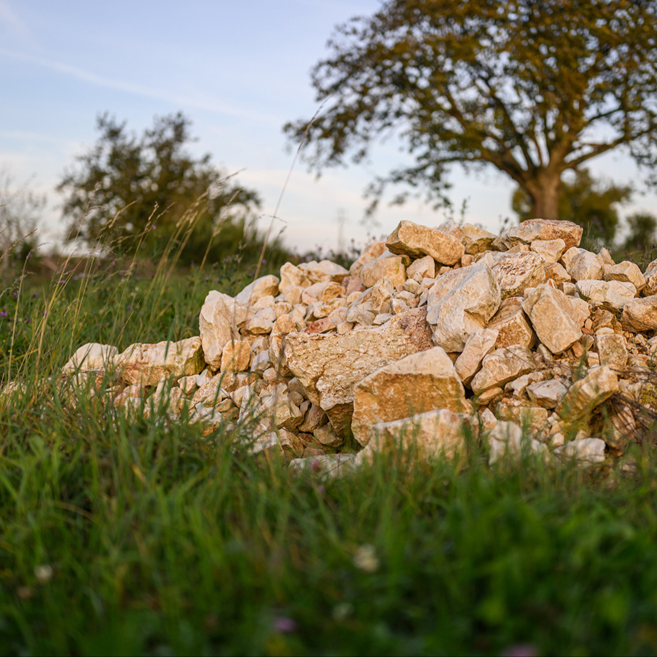 1 Kleinstruktur (Asthaufen, Nisthilfen, Sandlinsen etc.)