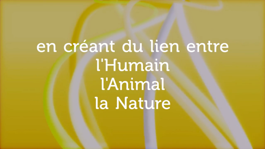 Association HAN Projet (Humain Animal Nature)