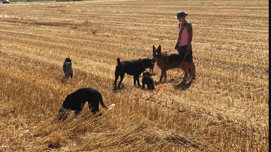 Saubere Näpfe & frisches Gemüse für unsere tierischen Schützlinge