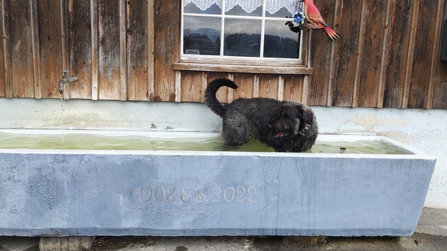 Kulturgut Brunnen-Quell-Wasser