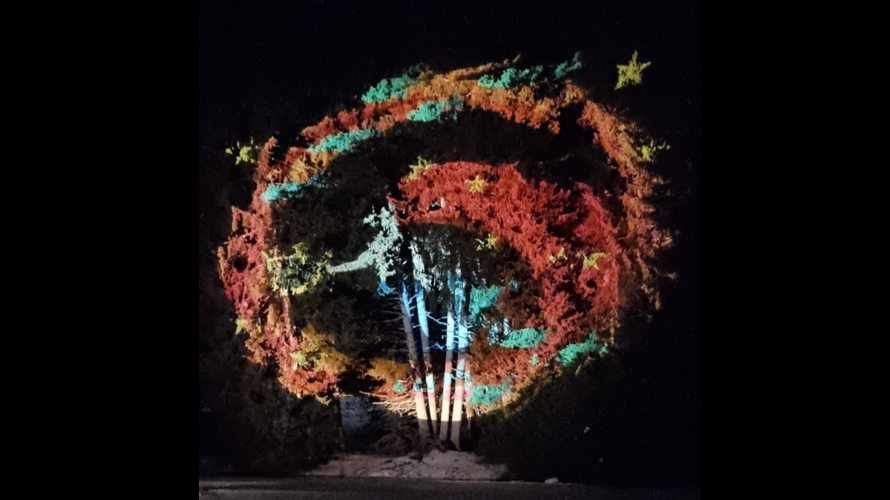 Faszinaziun Lichterwald