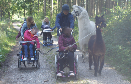 lamas & alpagas au soutien de ceux qui en ont besoin