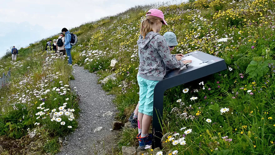 Verein Alpengarten Hoher Kasten