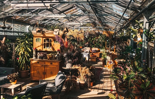 Gärtnerei zum Glück & Triibhuus Wädi