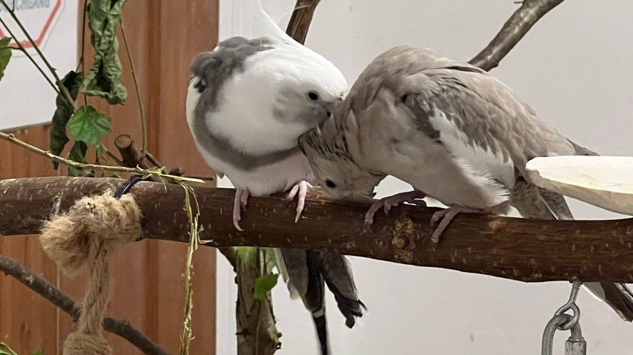 Saubere Näpfe & frisches Gemüse für unsere tierischen Schützlinge