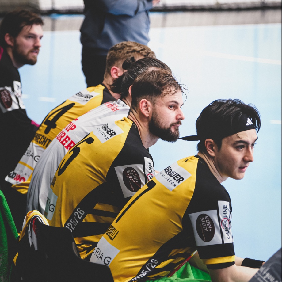 Teilnahme an einem Meisterschaftsspiel als Mitglied des Betreuerteams – Teambesammlung, Ausrüstung als Betreuer, Besprechung, Einlauf mit dem Betreuerteam, während dem Spiel auf der Spielerbank, Pausen- und Schlussbesprechung