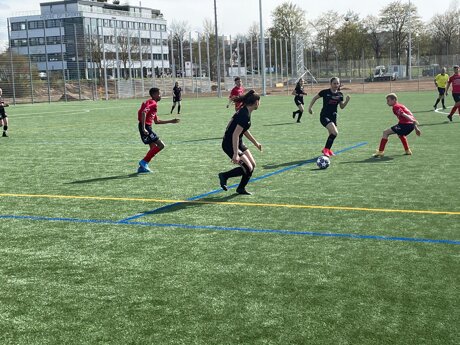 tessin - wir kommen!