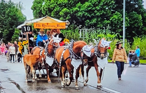 Jodlerklub Blüemlisalp 2555 Brügg