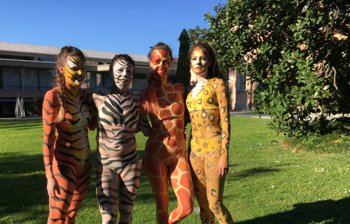 Lo Studio - performing arts centre