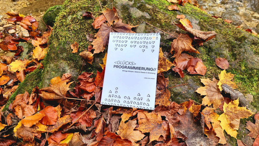 Glücksprogrammierung - ein Buch für den guten Zweck