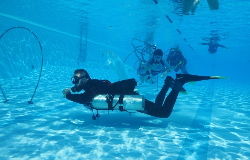 Schnuppertauchen 08. August 2026 Gartenbad Arlesheim