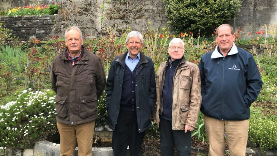 Lassen wir diese Bäume wachsen!