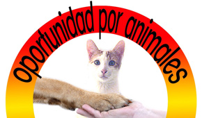 Tierschutzverein: Tieren eine zweite Chance geben
