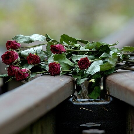 Getrocknete Rosen