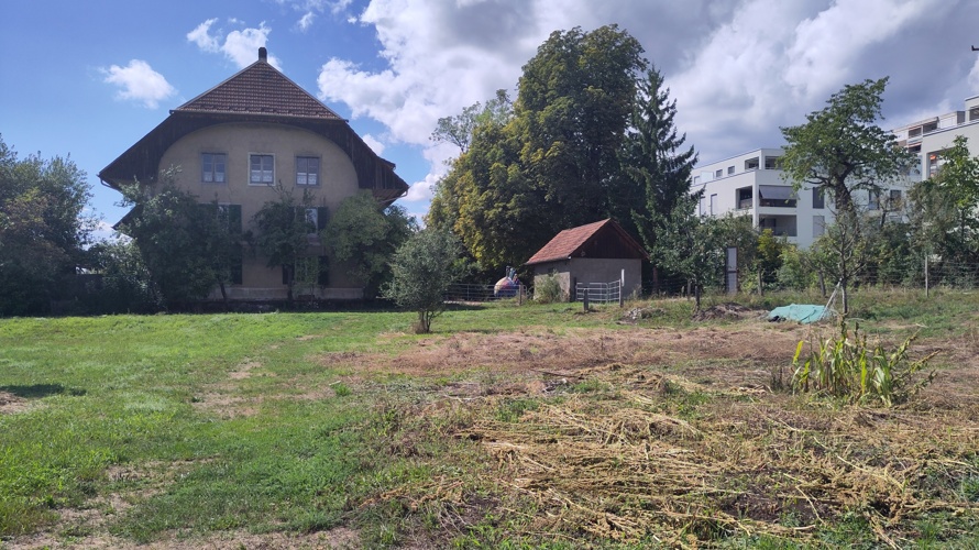Zirkus Oase Solothurn im Zirkuszelt