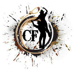 Erfolge und Auszeichnungen