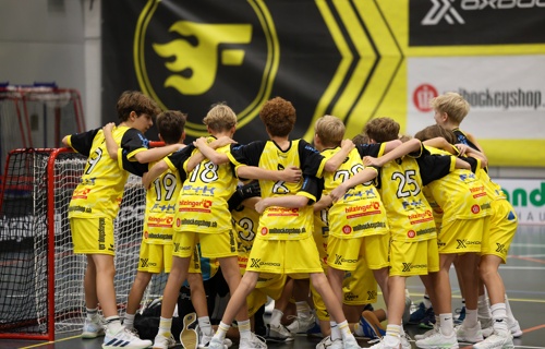 Gönnerverein Flames