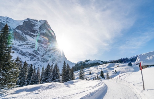 Zusammen sichern wir den Schlittelspass!