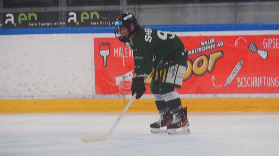 Nach Nashville für den Traum vom Profi-Hockey - Deine Hilfe zählt!