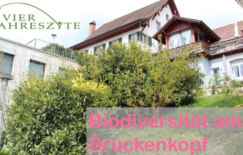 Biodiversität am Brückenkopf fördern