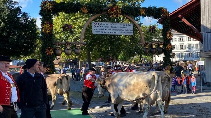 Viehzuchgemeinschaft Herisau