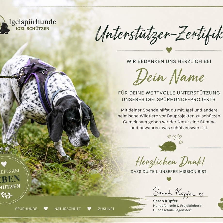 Digitale Unterstützer - Urkunde