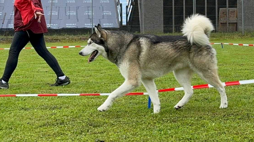 KV Wolhusen und Umgebung