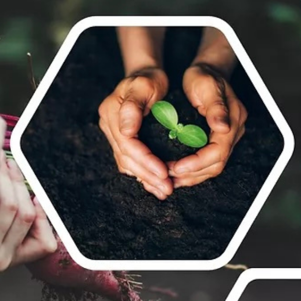 Consultation Nutriguide