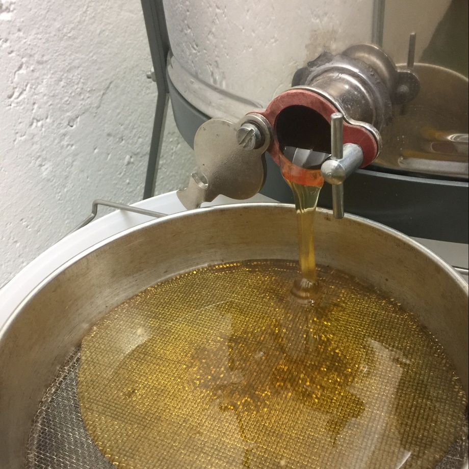 Führung mit Apéro im Bienenhaus + 1 Glas Honig