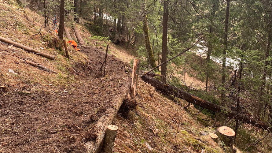 Ausbau Freeridetrail Kandersteg um 800 Meter bis nach Kandersteg.