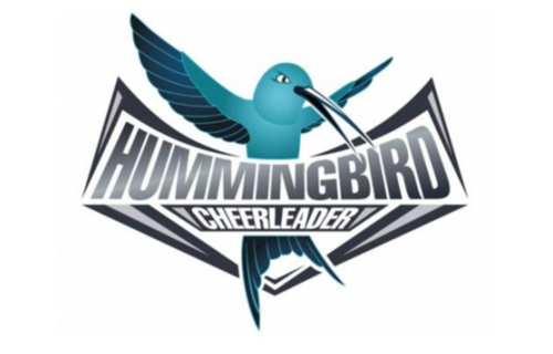 Gemeinsam an die Cheerleading Weltmeisterschaft nach Orlando