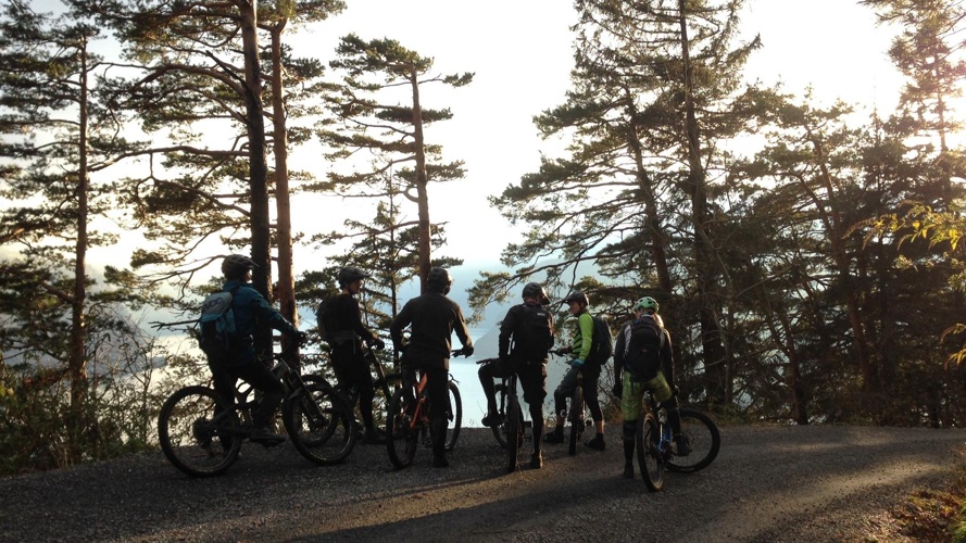 Biketrail Ingenbohlerwald