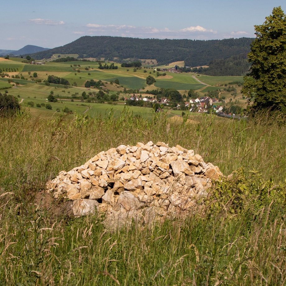 1 Kleinstruktur (Steinlinsen und Holzhaufen)