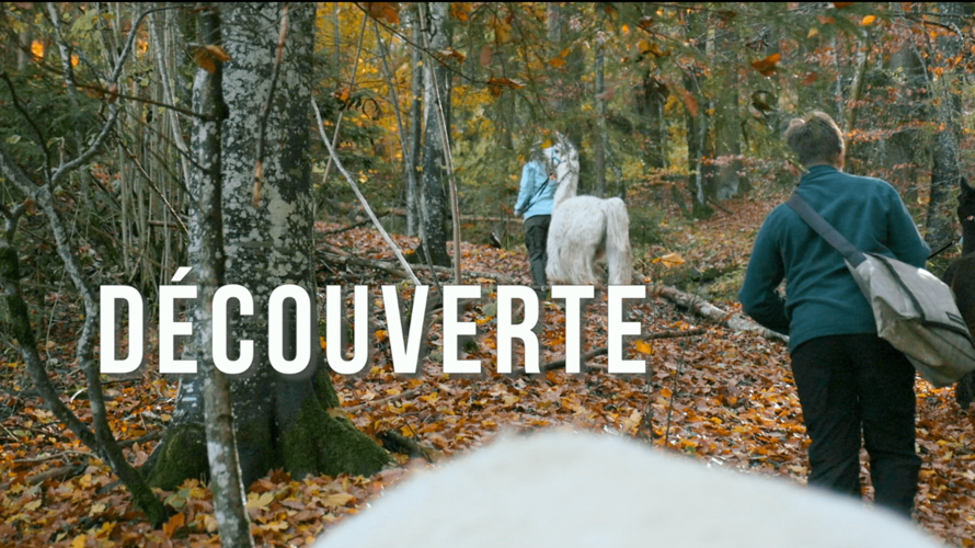 Soutien au projet Lampaga