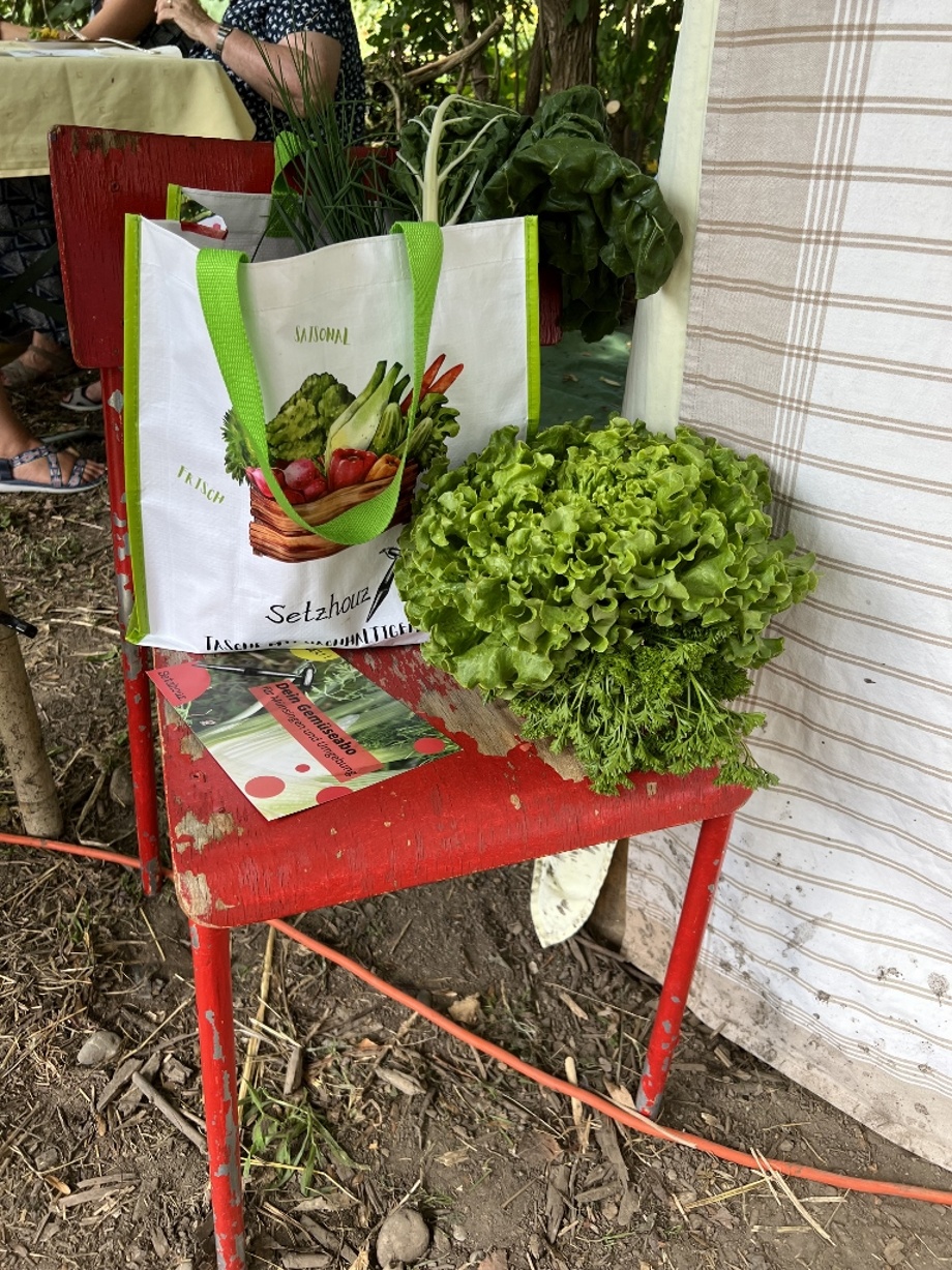 Volle Gemüsetasche frisch ab Feld