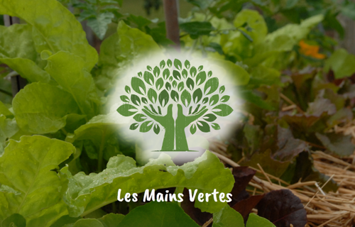 Les Mains Vertes: Jardin  d'insertion sociale