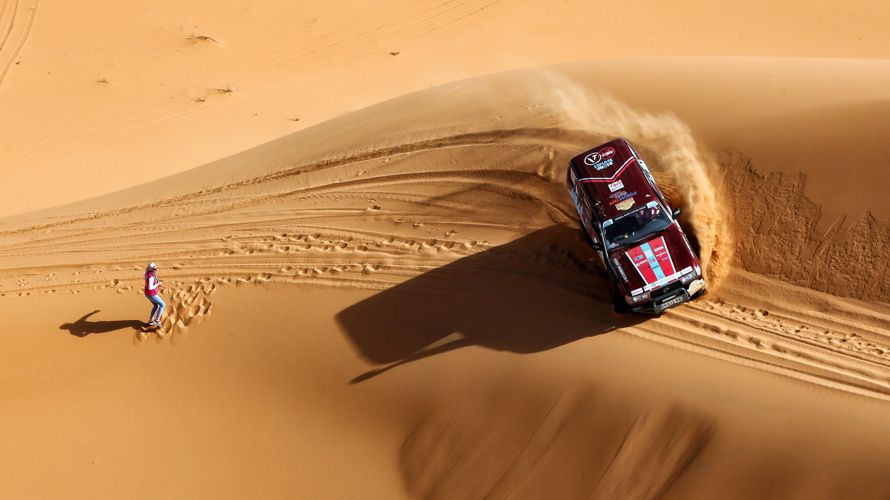 Les gazelles du Valais