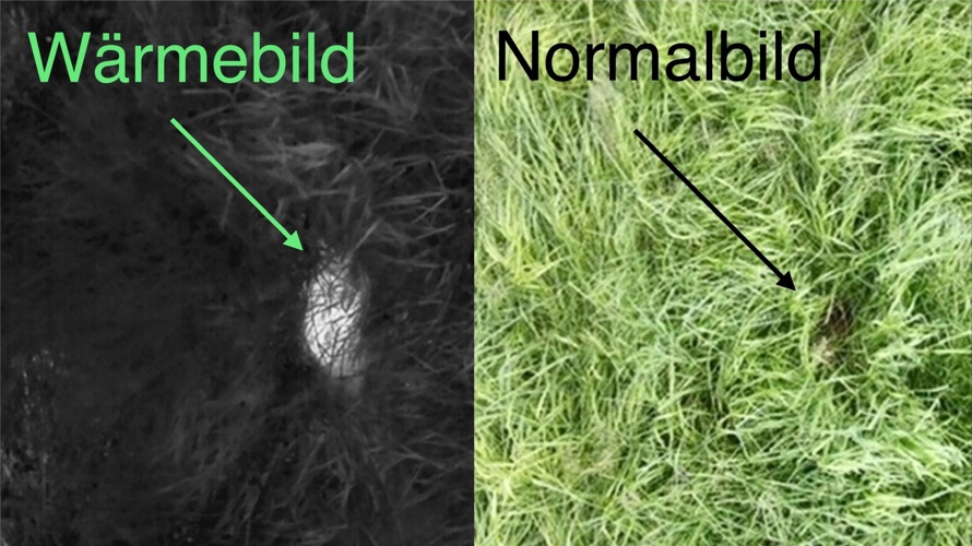 Rehkitzrettung-Allschwil-Schönenbuch
