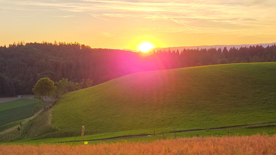 Rehkitzrettung mit Wärmebilddrohne