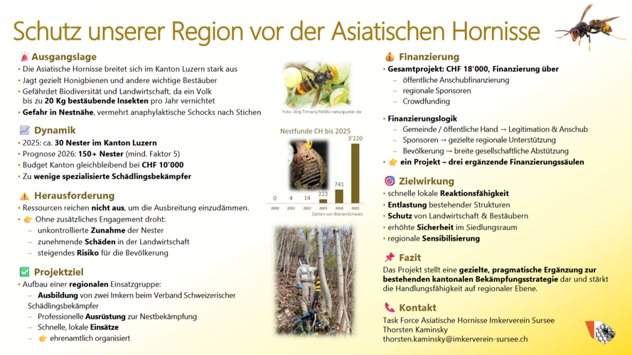 Gemeinsam gegen die Asiatische Hornisse in der Region Sursee
