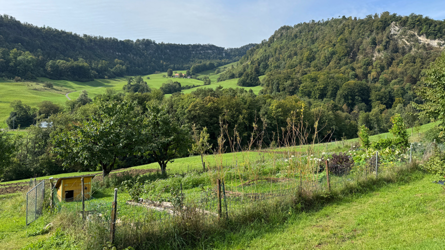 Feuer & Bohne für den Hofanschluss