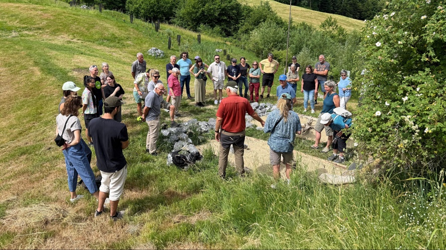 Wildblumenwiese - für Wildbienen und als Samenspenderfläche