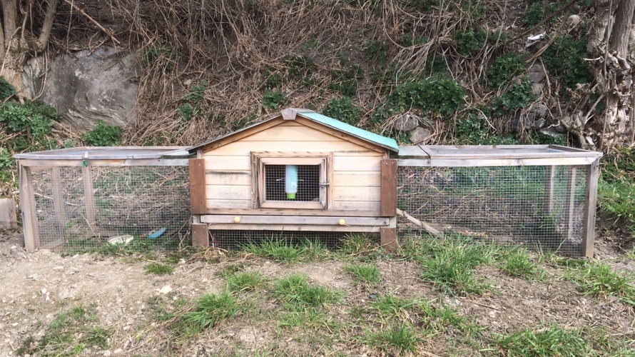 Kaninchen-Projekt an der gd-Schule Bratsch