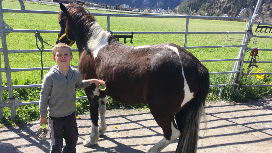 Rettung der Reitschule wegen der Schliessung durch das BAG