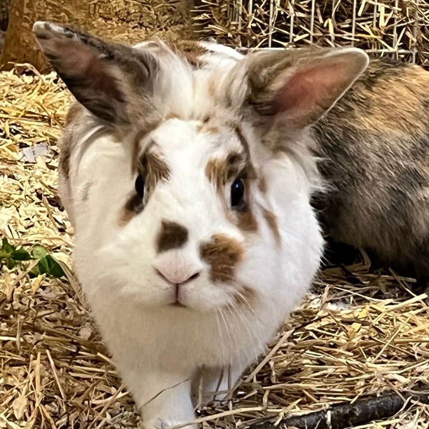 Nennung auf der Online-Spendentafel