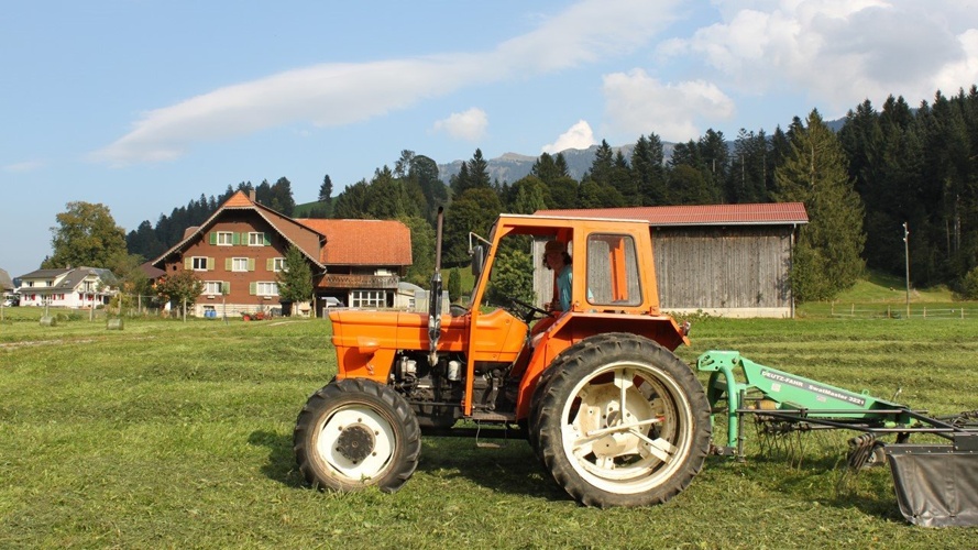 Umbau Schweinestall für nachhaltige Ernährung